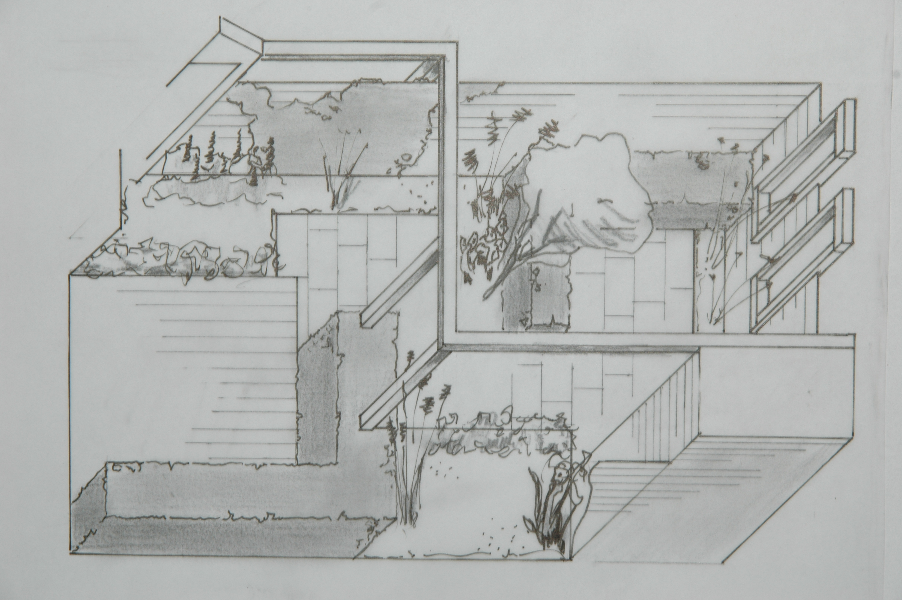 Een ontwerp van een achtertuin door De Jong Tuinontwerp, Eugene de Jong uit Noordwijkerhout